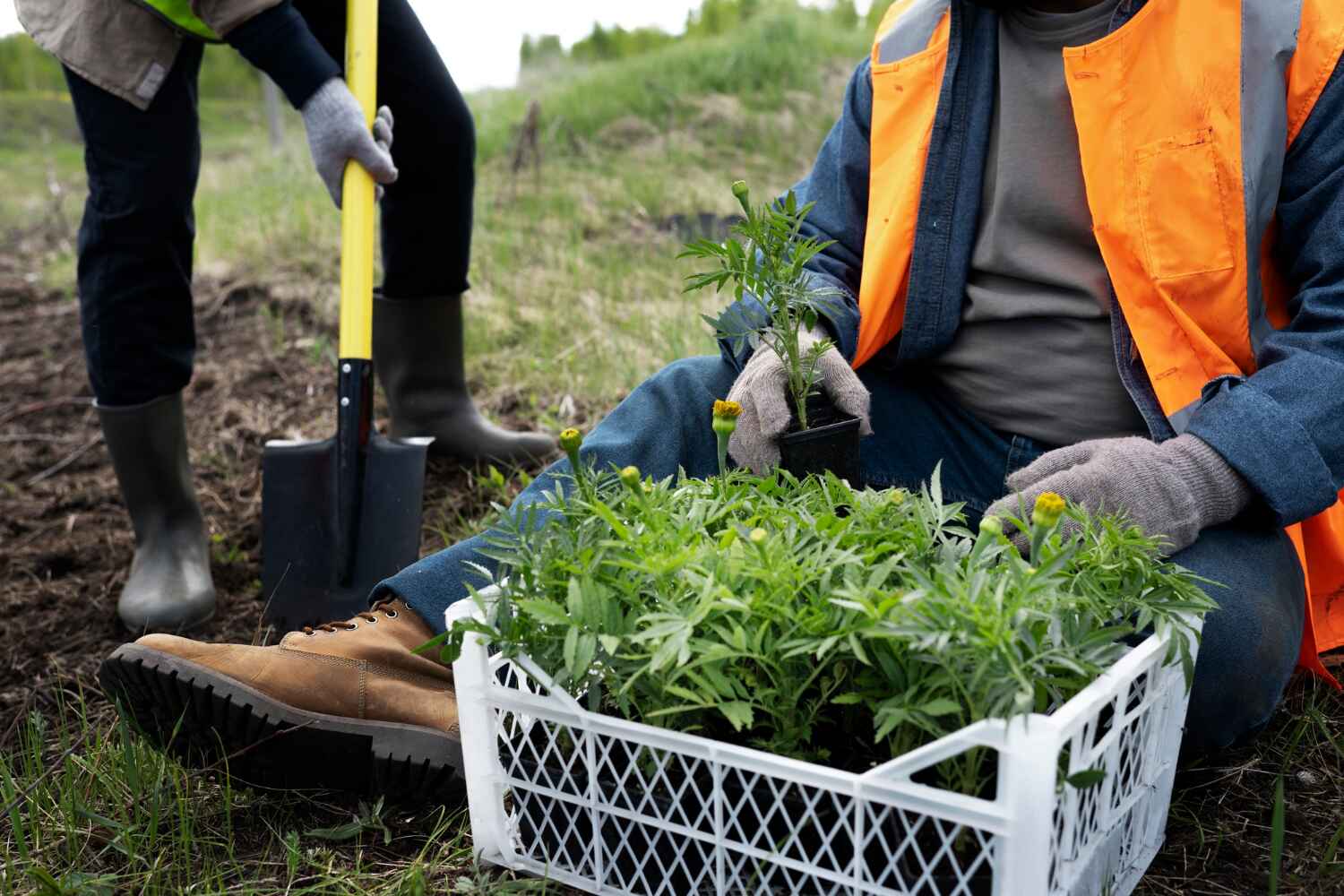 Best Affordable Tree Service  in Lamar, CO